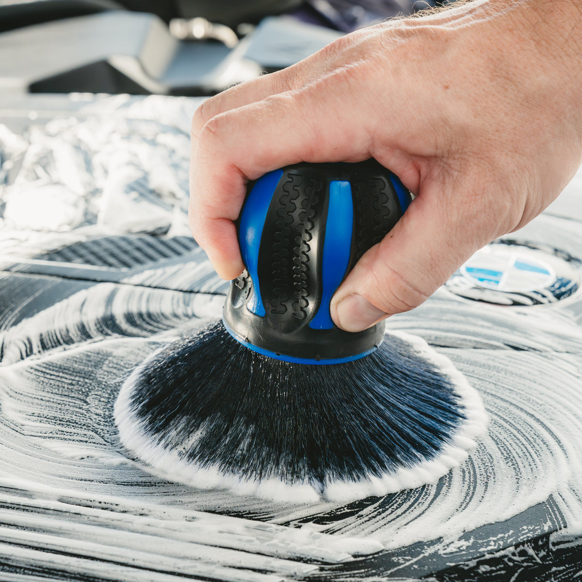Palmy Brush