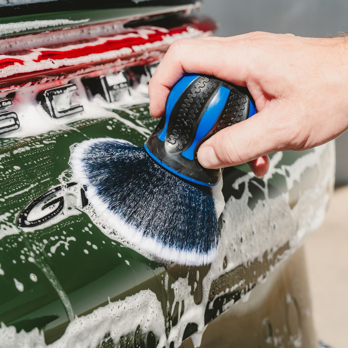 Palmy Brush