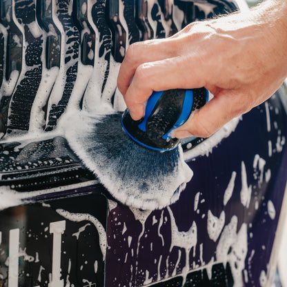 Palmy Brush